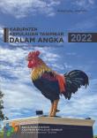 Kepulauan Tanimbar Regency In Figures 2022